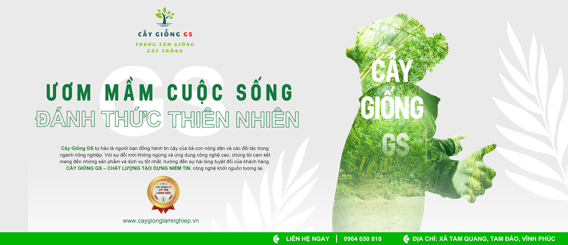 Cây giống lâm nghiệp