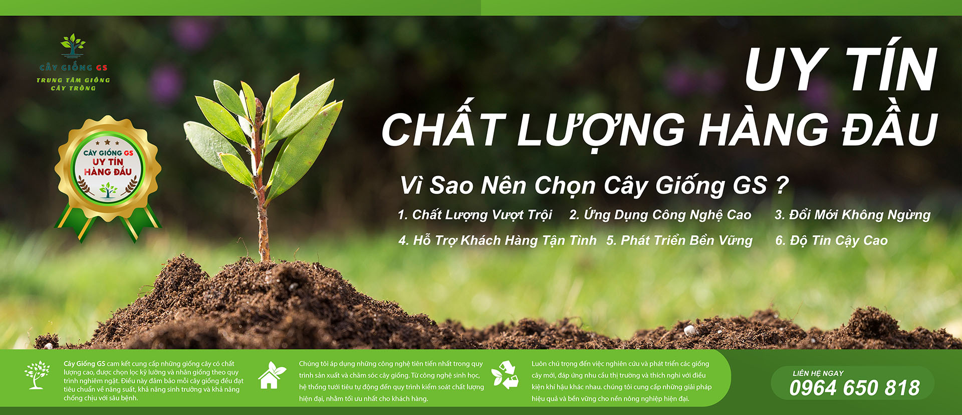 Cây giống lâm nghiệp