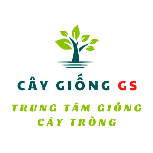 Cây Giống GS - Trung Tâm Giống Cây Trồng
